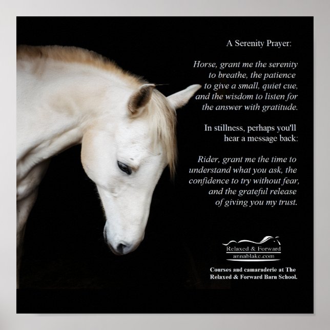 Serenity Prayer Poster for Horses and Humans (Front)