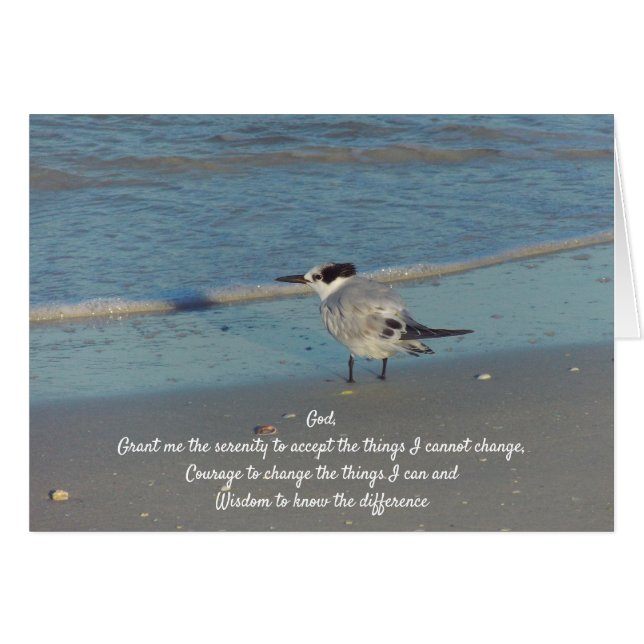 Serenity Prayer Sea Gull an the Beach (Front Horizontal)