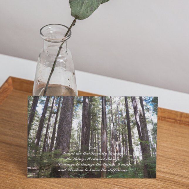 Serenity Prayer Sunlit Forest Photo Blank Card (Creator Uploaded)