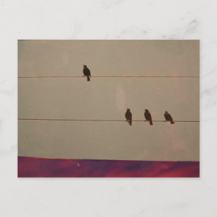 Serenity Series Postcard