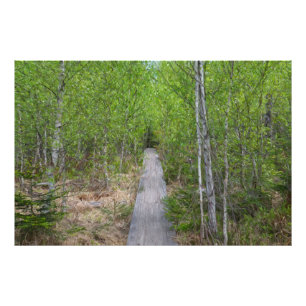 Serenity Trail Photo Print