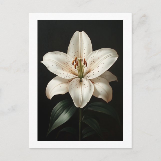 Serenity White Lily - Elegant Floral Tribute Postcard (Front)