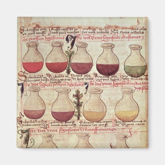 Series of flagons for urine analysis magnet (Front)