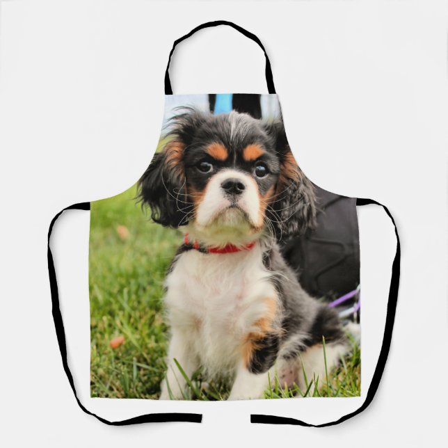 Serious Apron (Front)