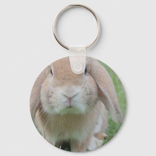 serious bunny photo key ring (Front)