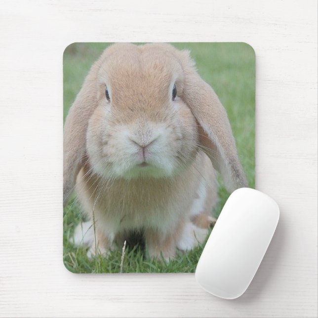 serious bunny photo mouse pad (With Mouse)