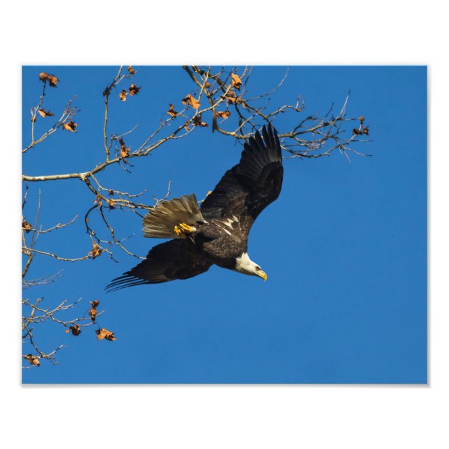 Serious Business Photo Print (Front)