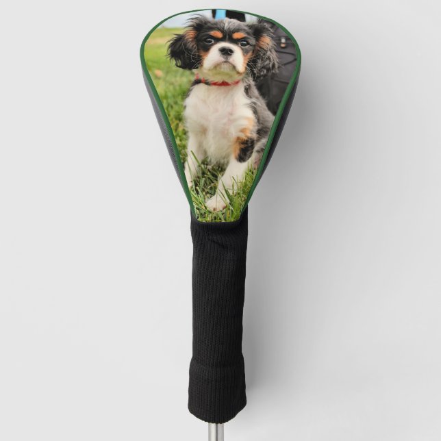 Serious Golf Head Cover (Front)