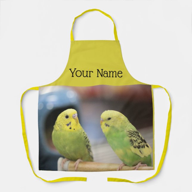 Serious Keets Apron (Front)