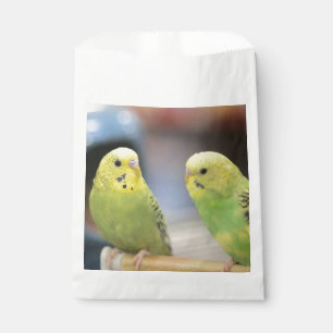 Serious keets   favour bag