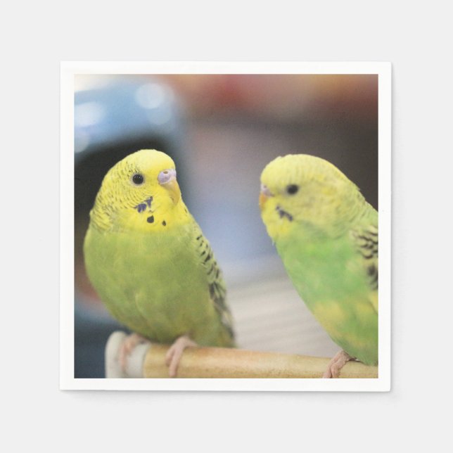 Serious keets    napkin (Front)