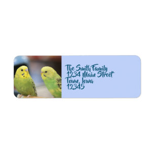 Serious keets return address label