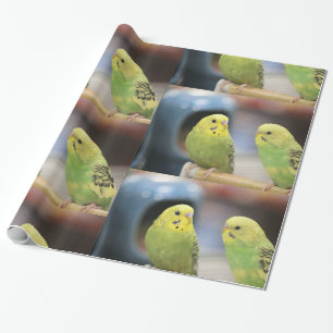 Serious Keets Wrapping Paper