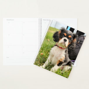 Serious Planner
