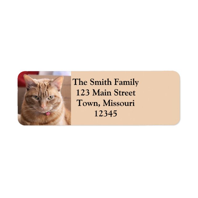 Serious Return Address Label (Front)
