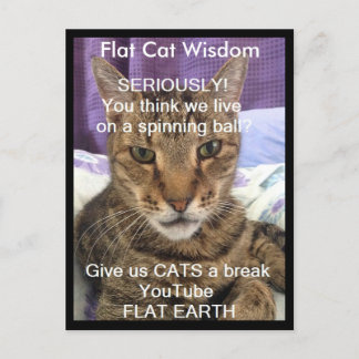 Serious Sebastian Postcard