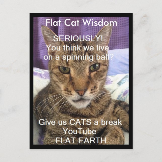 Serious Sebastian Postcard (Front)