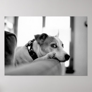 Serious Side Eye. Poster