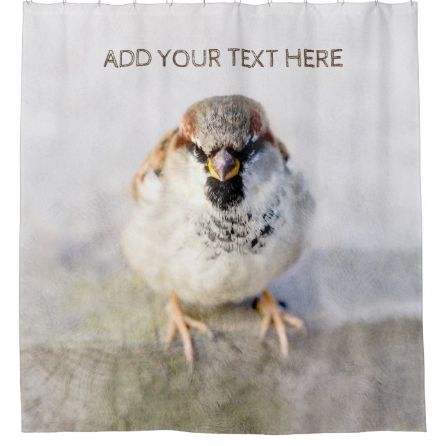 Serious Sparrow Shower Curtain (Front)