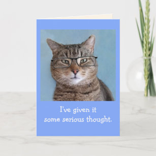 Serious Thinking Cat Birthday Card