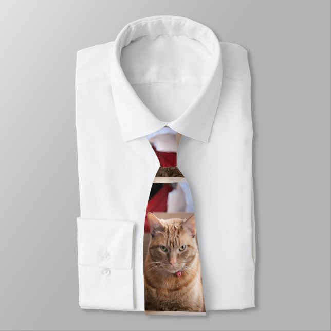 Serious Tie (Tied)