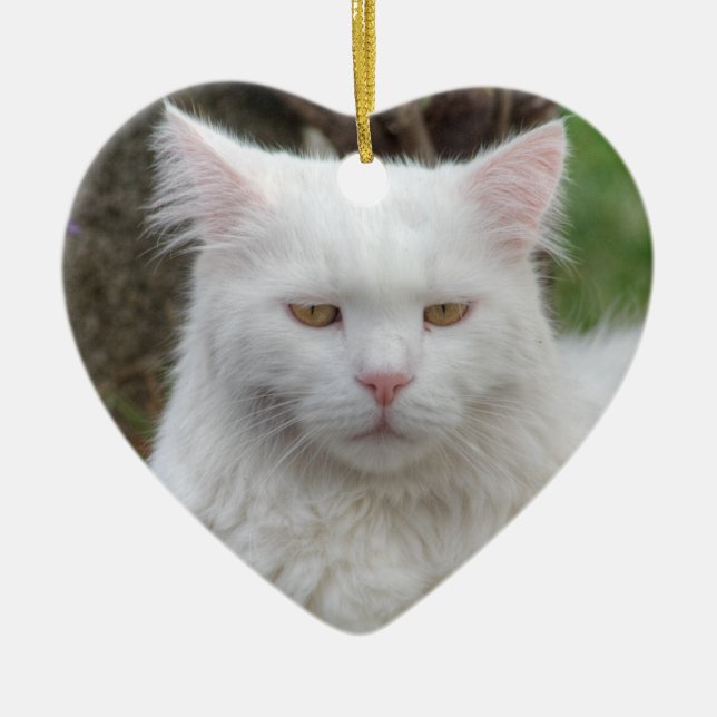 Serious White Cat Ceramic Tree Decoration (Front)