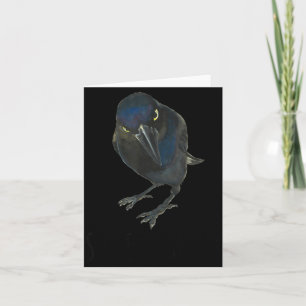 Seriously Mpy Black Grackle Black Bird Card