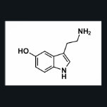 serotonin chemical formula science symbol elements poster<br><div class="desc">serotonin chemical formula science symbol elements hormone excitement medicine happy</div>