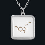 Serotonin Molecular Chemical Formula Silver Plated Necklace<br><div class="desc">Serotonin Molecule ~ Chemical Skeletal Structural Formula Organic Compound.

Globe Trotters specialises in idiosyncratic imagery from around the globe. Here you will find unique Greeting Cards,  Postcards,  Posters,  Mousepads and more.</div>