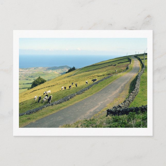 Serra do Cume: Terceira Postcard (Front)