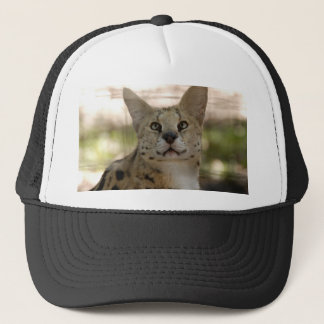 serval 017 trucker hat