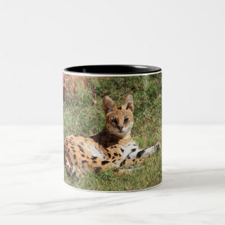 Serval Cat Mug