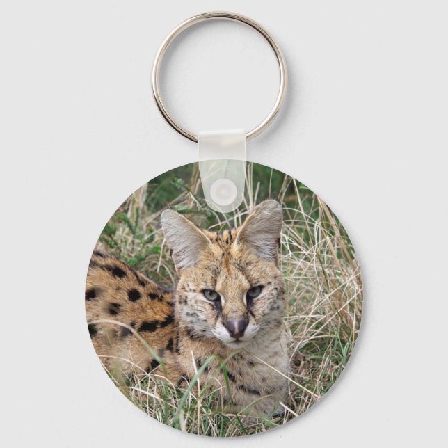 Serval cat relaxing in grass key ring (Front)