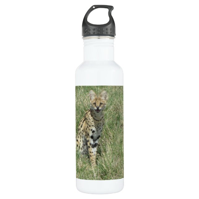 Serval cat stainless steel water bottle (Front)