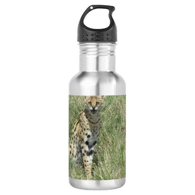 Serval cat stainless steel water bottle (Front)
