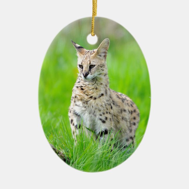 Serval in the grass ceramic ornament (Front)