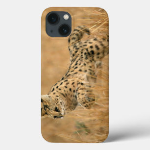 Serval (Leptailurus Serval) Jumping iPhone 13 Case