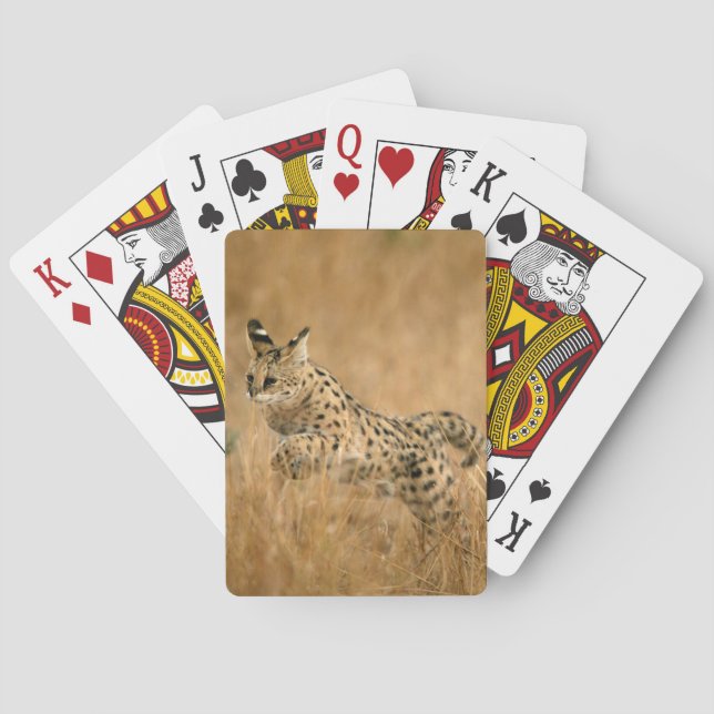 Serval (Leptailurus Serval) Jumping Playing Cards (Back)