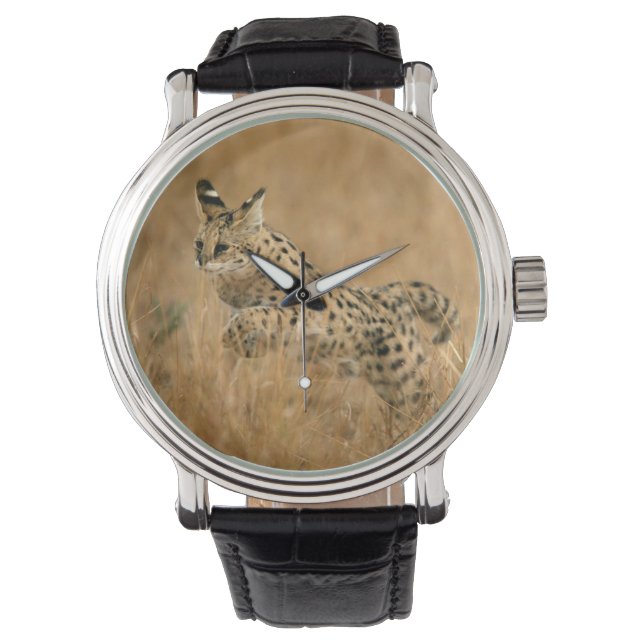 Serval (Leptailurus Serval) Jumping Watch (Front)