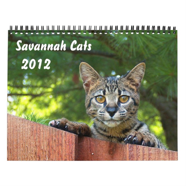Serval Savannah Cat Calendar (Cover)