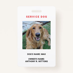 Service Dog ID Badge