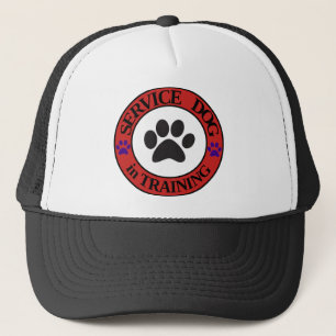 Service Dog in Training Hat