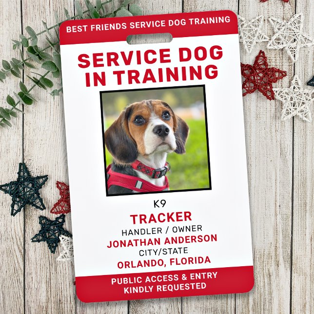Service Dog In Training ID Card Personalised Photo Badge (Creator Uploaded)