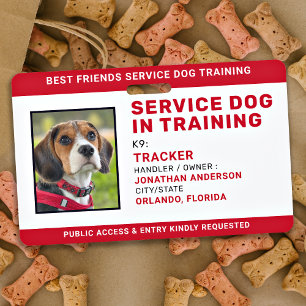 Service Dog In Training ID Red Personalised Photo  Badge