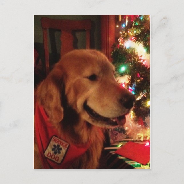 Service Dog Jonah Christmas Postcard (Front)