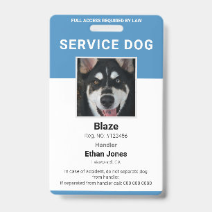 Service Dog Photo Blue Badge ID Badge