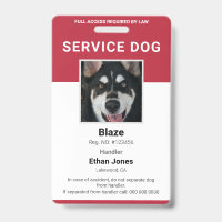Service Dog Photo Red