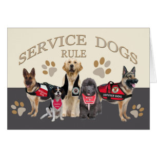 Service Dogs Rule Merchandise and Apparel