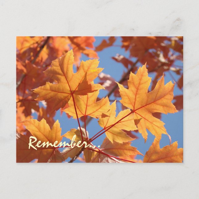 Service postcards Reminders Annual Service Time (Front)