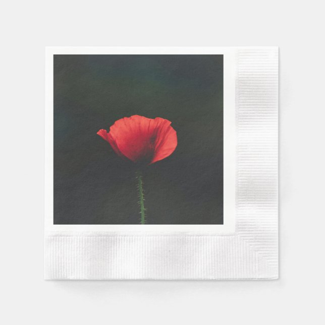Serviette: A common alternative term.Tissue Napkin (Front)